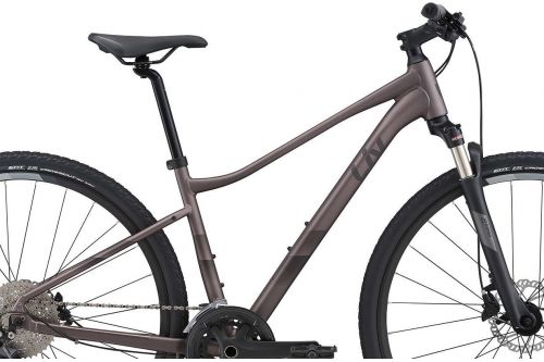 Rower crossowy Liv Rove 1 DD 2021
